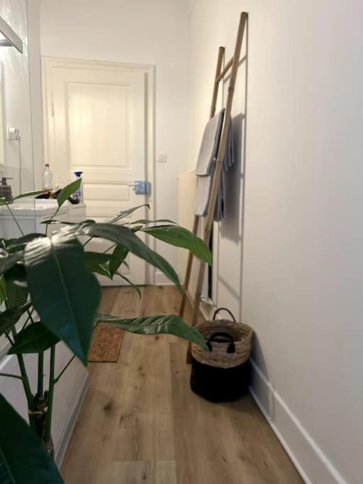 Appartement Cosy Et Lumineux Avec Parking Gratuit Colmar Exterior photo