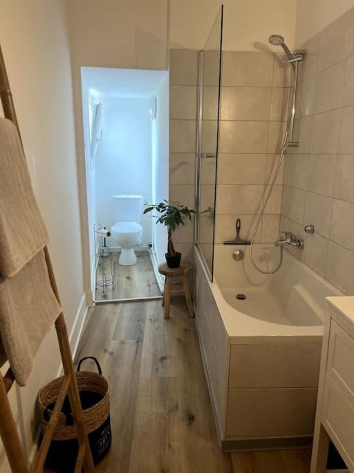 Appartement Cosy Et Lumineux Avec Parking Gratuit Colmar Exterior photo